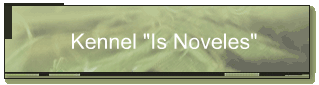 Kennel "Is Noveles"